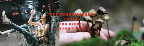 MDMA Premium VHQ Арсеньев