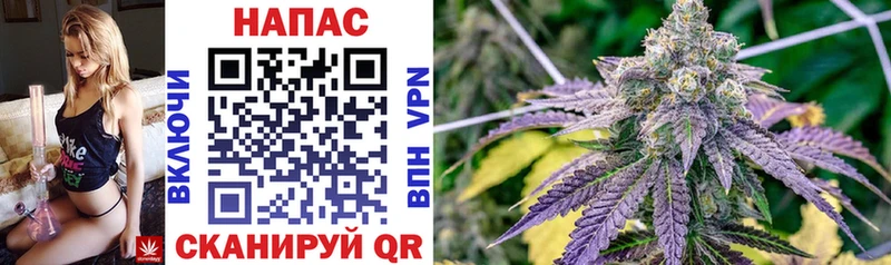 Бошки Шишки OG Kush  Лукоянов 